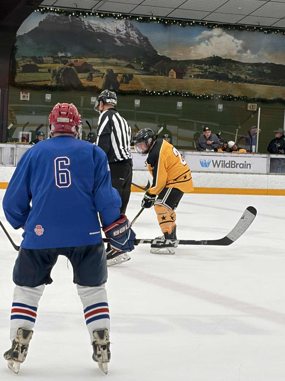 USA 80+ HOF at Snoopy's Senior World Hockey Tournament